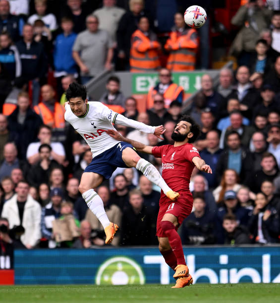 国际网坛的 国际网坛的