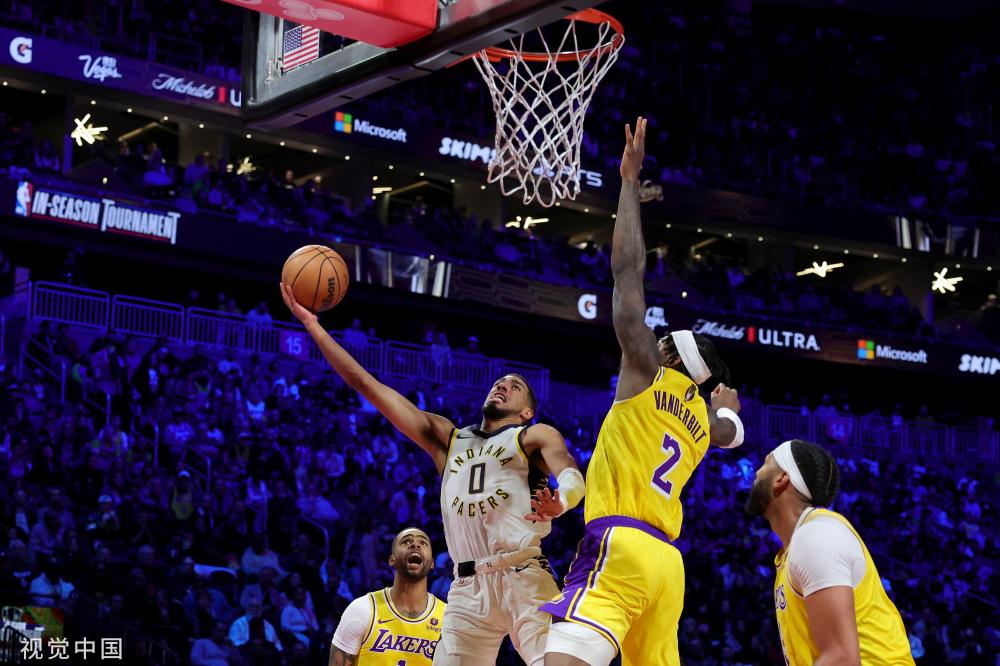 他们不仅为 他们不仅为